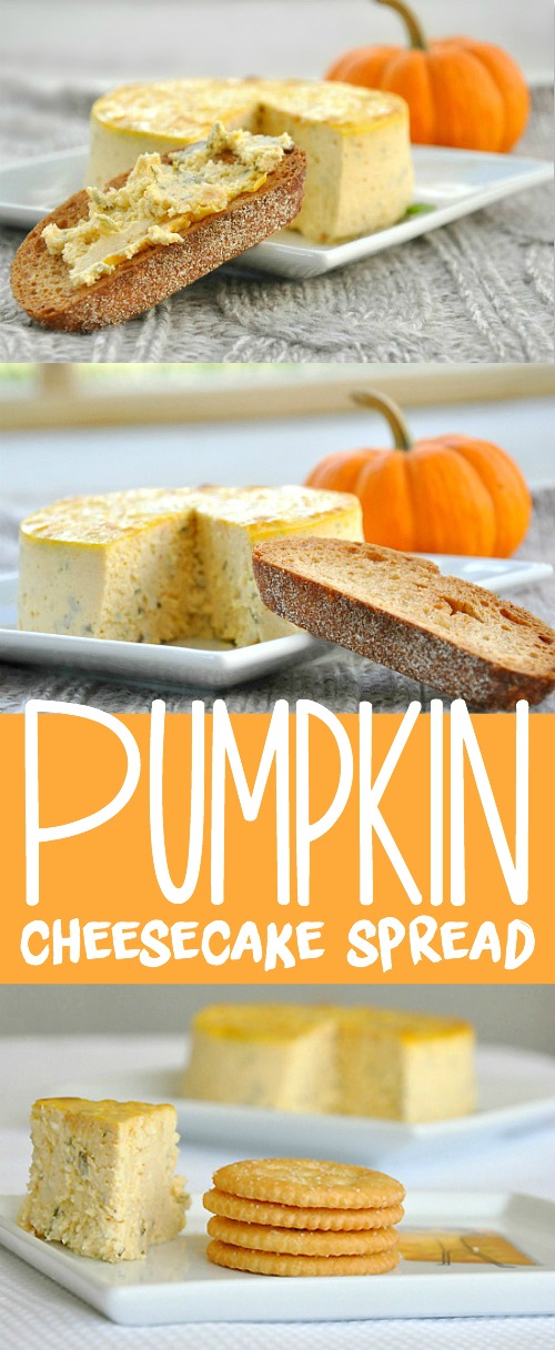 Savory Pumpkin Basil Cheesecake Spread