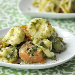 Spoon this garlicky arugula pesto over cheesy tortellini, brush onto crusty french bread, or slather on flaky salmon fillets for pure pesto deliciousness!
