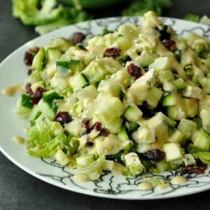 Cranberry Cucumber Shredded Sprout Salad