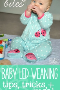 Baby Bites: Adventures in Baby Led Weaning! We love to eat! Here's a peek at our plates to get you started making balanced, healthy meals for tiny tummies!