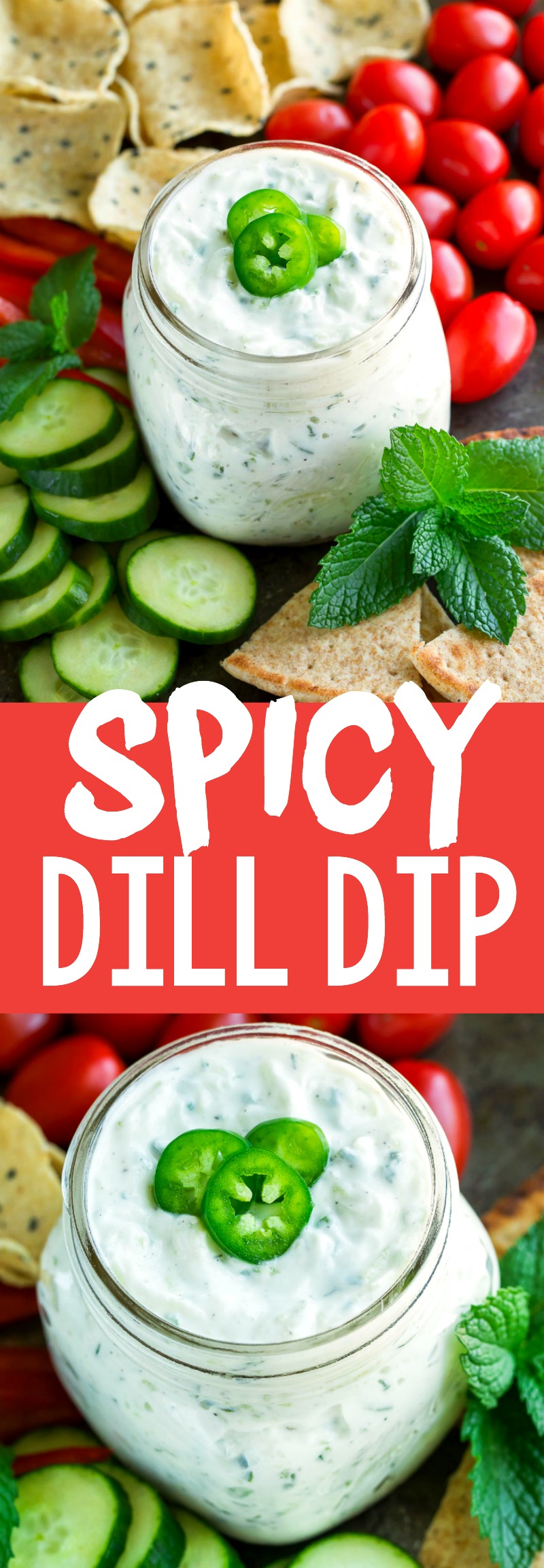 This Spicy Dill Dip makes a fantastic snack or appetizer. Serve it with pita and veggie dippers as an easy make-ahead after school snack or bring it to your next party or potluck! #appetizer #dip #dill #glutenfree #spicy #jalapeno #party #partyfood #snack