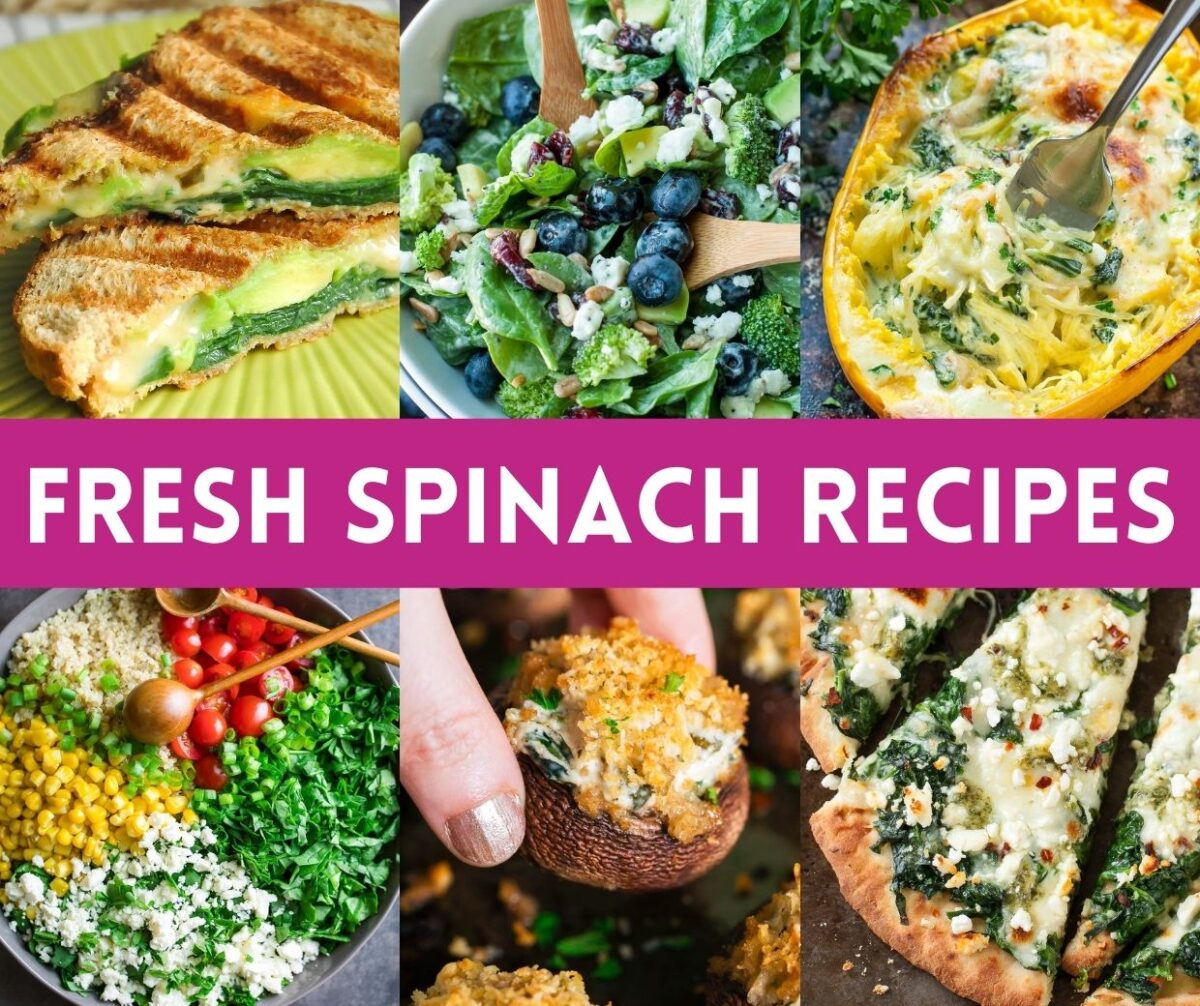 Fresh Spinach Recipes Photo Collage