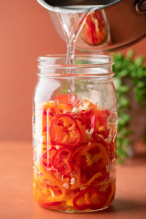 Quick Pickled Sweet Mini Peppers