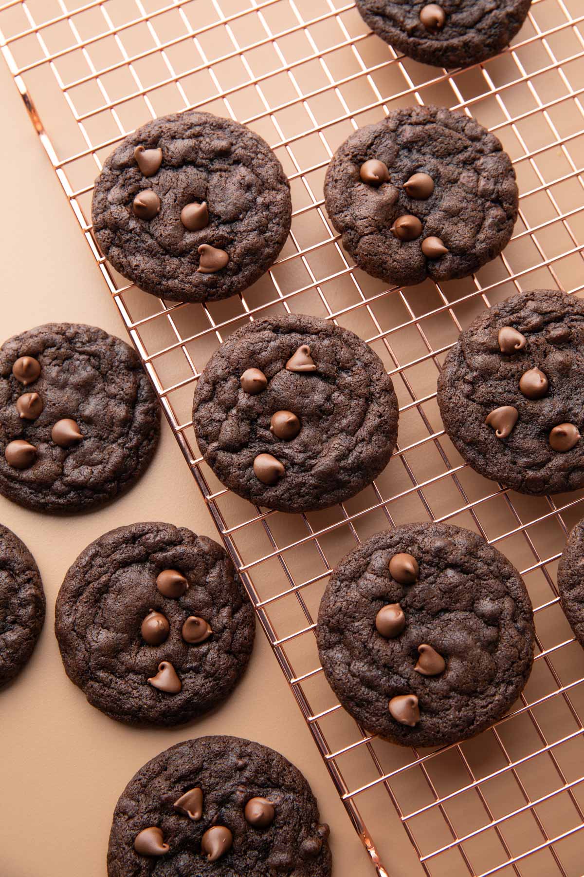 chocolate cookies with chocolate chips on a wire cooling rack