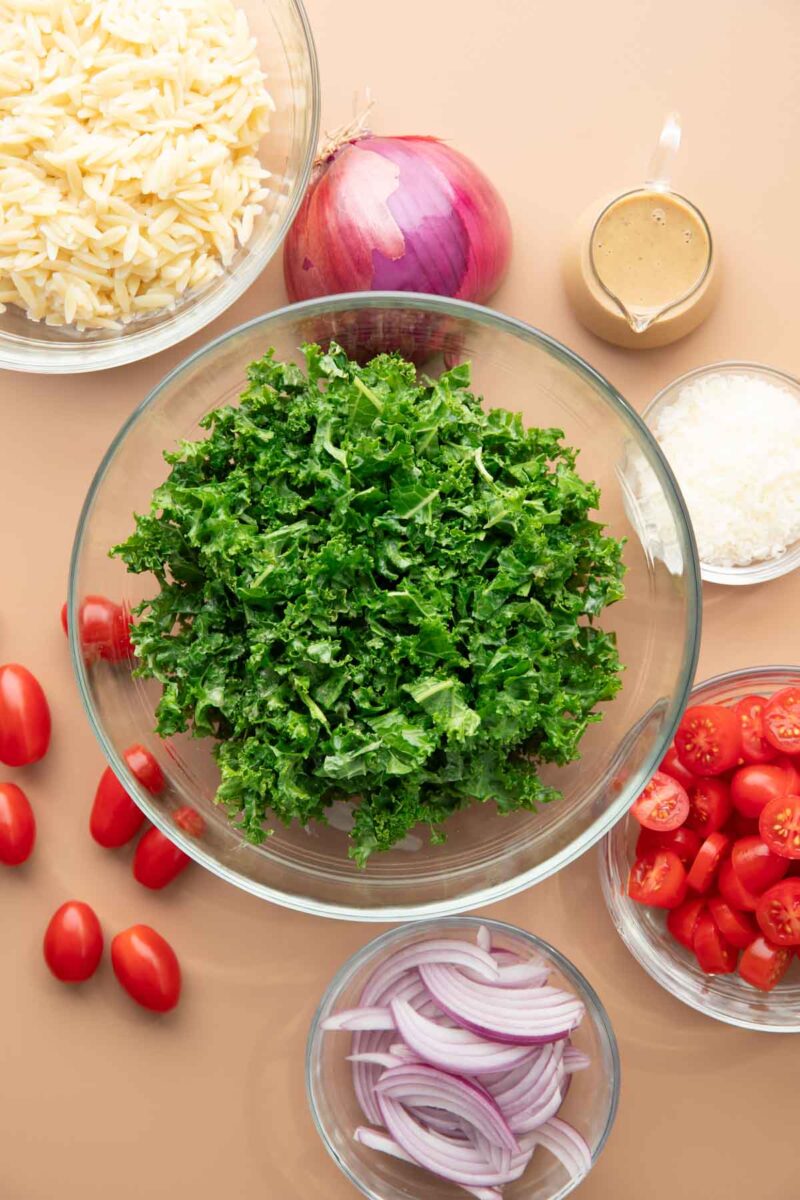 kale pasta salad ingredients in bowls: cooked orzo, chopped kale, chopped cherry tomatoes, sliced red onion, grated parmesan cheese, and creamy balsamic dressing
