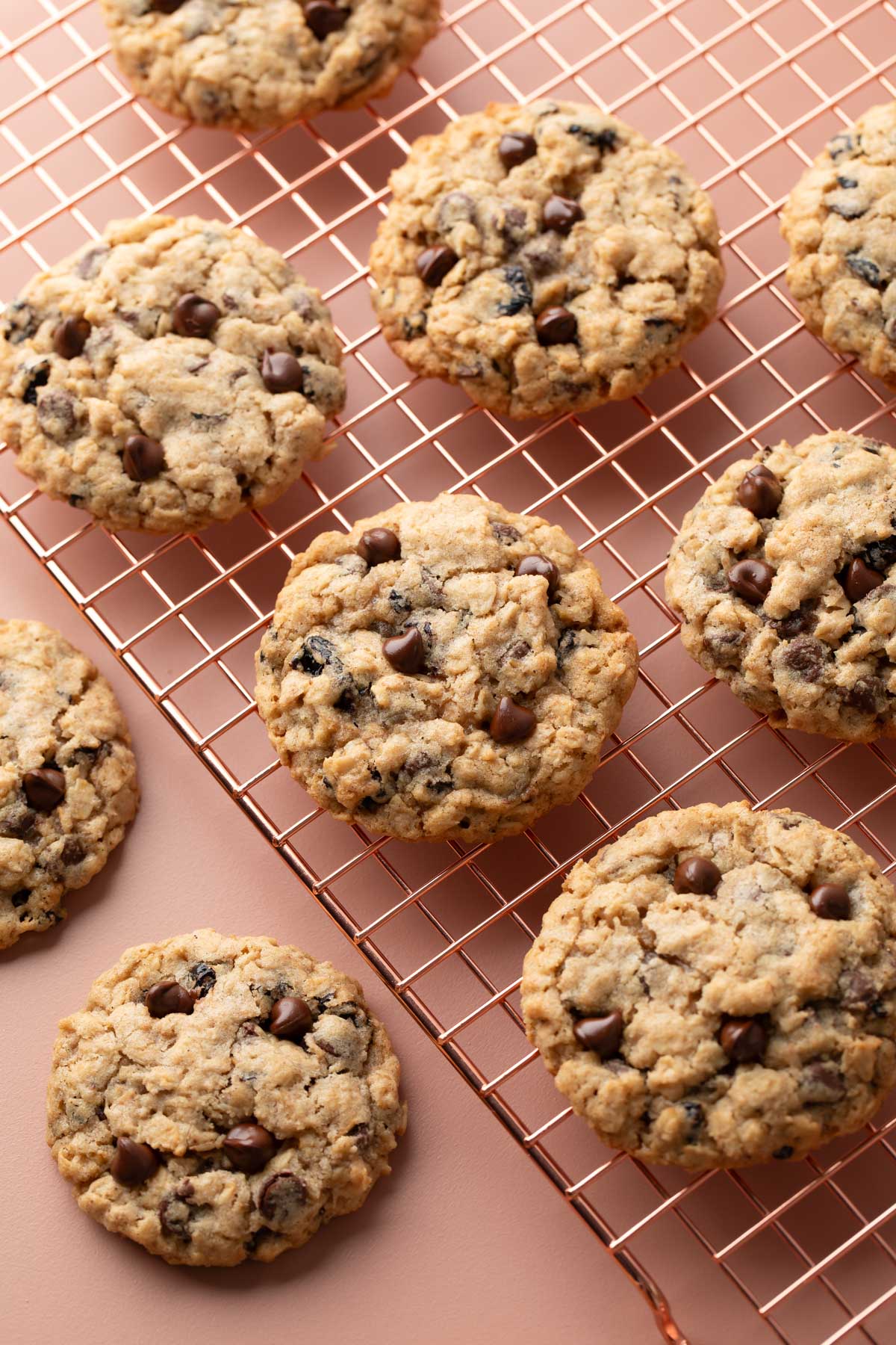 chewy baked oatmeal cookies with cherries and chocolate chips on a wire cooling rack